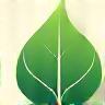 Eco-friendly cleaning icon